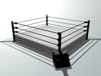 Wrestling Ring