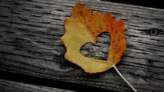Love Wallpaper Desktop HD Of