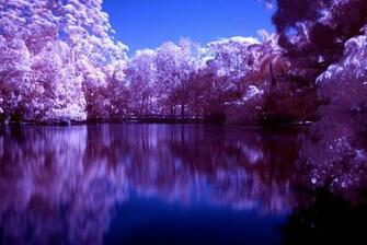 Purple Landscape Wallpaper