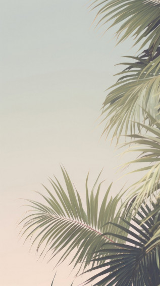 Aesthetic Palm Leaves Landscape Wallpaper