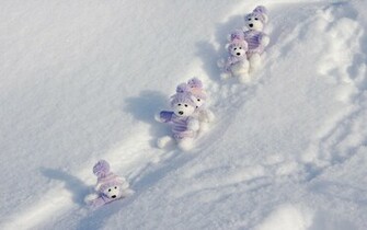 Winter Teddy Bears Wallpaper Stock Photos
