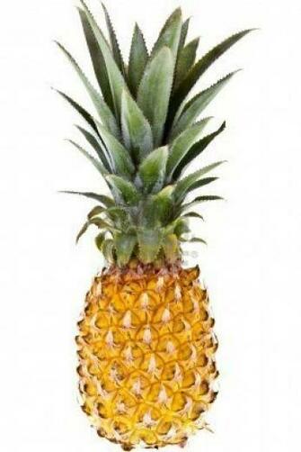 Quotes Psych Pineapple Logo Wallpaper