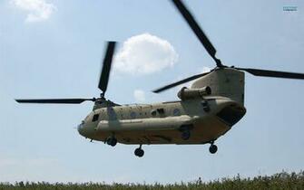 Chinook Wallpaper