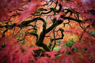 Winners Of The National Geographic Traveler Photo Contest