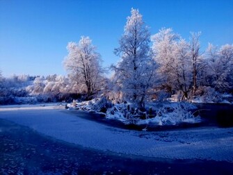 Winter Nature Wallpaper Image Crazy Gallery