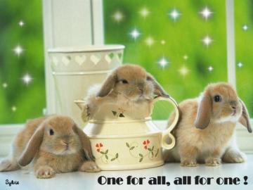 Three Musketeers Keep Smiling Wallpaper