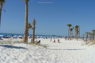 Gulf Beach Background Large Wallpaper Of Florida S