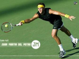 Juan Martin Del Potro Wallpaper