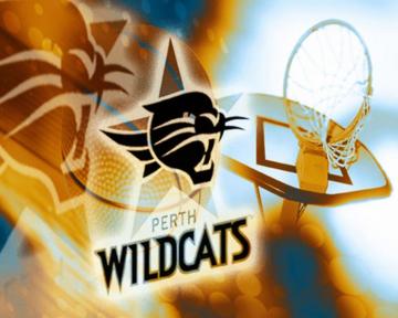 Perth Wildcats Wallpaper Basketball At