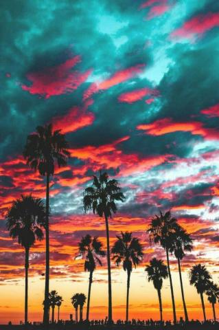 California Highway Patrol Nature Aesthetic Wallpaper