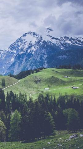 Adventurous Forest Mountain iPhone Wallpaper Preppy
