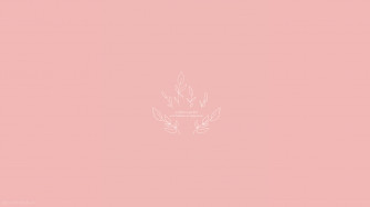 Peach Aesthetic Background Wallpaper