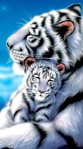 White Tiger iPhone Wallpaper Background Lock Sc