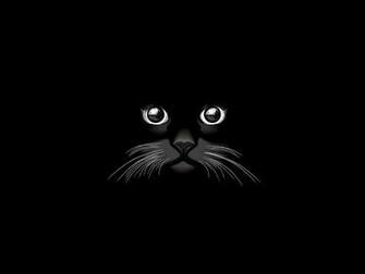 Wallpaper Black Cat In The Dark Photos And Walls