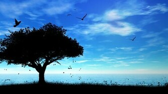 High Quality Wallpaper Many Pictures Upload And