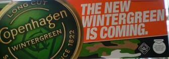 Snus News Other Tobacco Products C Store Update Camel Dissolvable