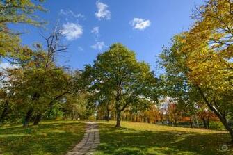 Autumn Park Trail Background High Quality Background