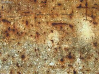 Development Rusty Scratched Metal Picture Nr