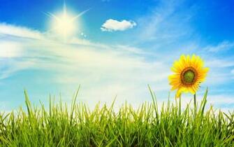 Wide HDq Pretty Sunny Day Wallpaper B Scb