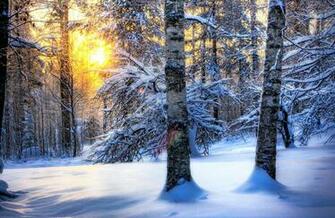 Winter Computer Wallpaper