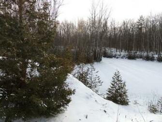 Nature S Frozen Pond Wallpaper