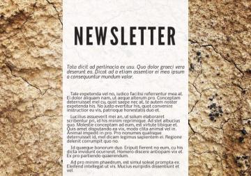 Terra Cotta Digital Newsletter Template Lucidpress