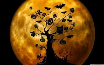 Halloween Owl Wallpaper Top Background