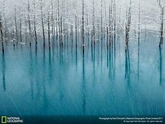 Nature Winners Gallery National Geographic Photo Contest