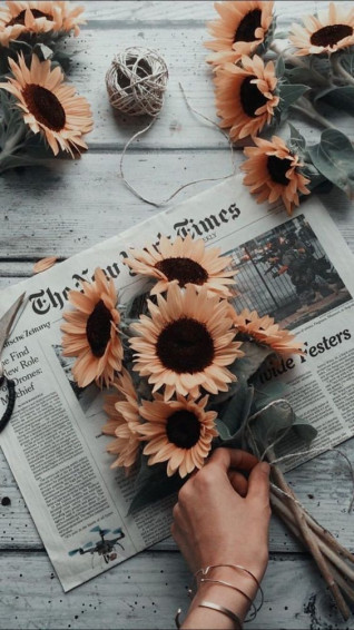 Beautiful Flower Wallpaper For iPhone