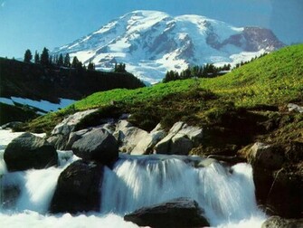 Various Things Best Nature Wallpaper