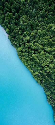 S8 Note Wallpaper Background Nature Tranquil Sea Trees