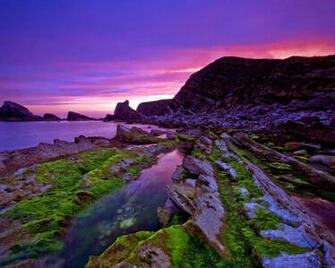 Colorful Nature Desktop Background