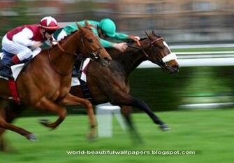 Go Back Gallery For Horse Racing Wallpaper Desktop
