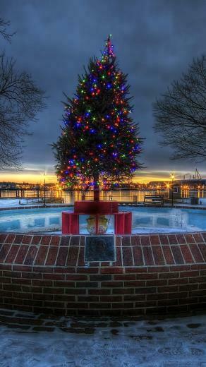 Lighted Christmas Tree 8b Wallpaper