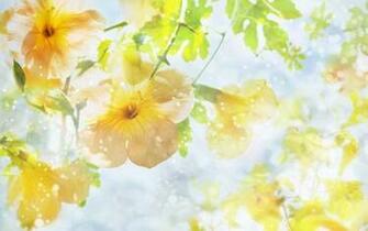 Spring Beautiful Pretty Wallpaper Original