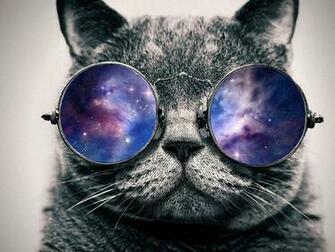 Cat In Space Wallpaper And Image Pictures Photos