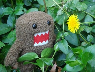 Domo Kun Photo