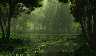 Rain Nature Wallpaper Background Windows Pictures In High