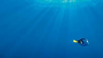 Finding Dory Movie Wallpaper HD