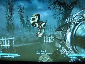 Awesome Fallout Glitch By Silver6kraid