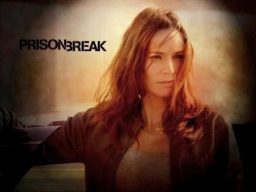 Prison Break Wallpaper