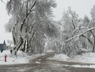 Snow Storm Wallpaper