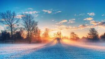 Scenic Winter Wallpaper Desktop Background Forest