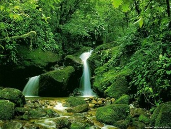 Nature Wallpaper Waterfall