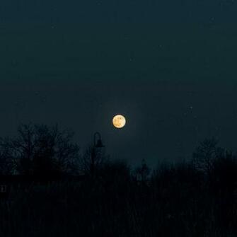 Moon Full Starry Sky Wallpaper