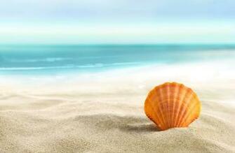 Beach Sand Dfiles The Book Panama City