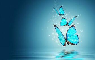 Butterfly Wallpaper Best