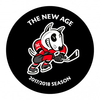 Ohl Niagara Icedogs Official Game Puck Season