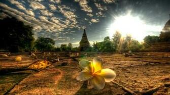 Thailand Wallpaper Best