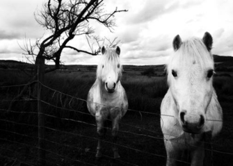 Brilliant Wallpaper In Black And White